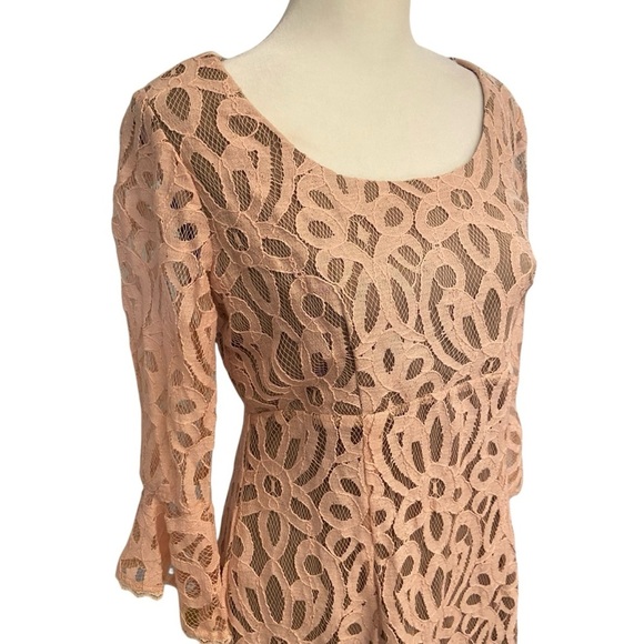 Rabbit Rabbit Rabbit Design Lace Overlay Dress Size 4 Romantic Blush Pink Church - Picture 2 of 9